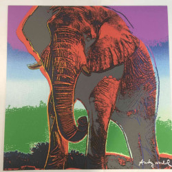 Litografia de Andy Warhol off set 60x60 cm