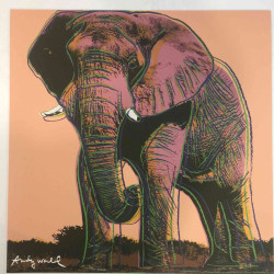 Andy Warhol Lithograph off set 60x60 cm