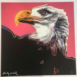 Andy Warhol Set de litografia 60x60 cm