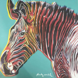 Andy Warhol Lithographie Offset 60x60 cm