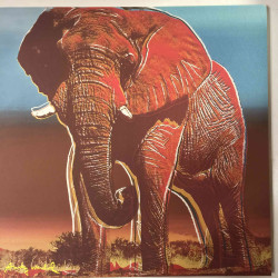 Andy Warhol Lithographie hors set 60x60 cm