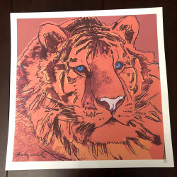 Andy Warhol Lithografie off set 50x50 cm gecertificeerd