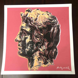 Andy Warhol Lithografie off set 50x50 cm gecertificeerd