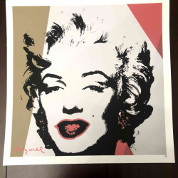 Andy Warhol Lithografie off set 50x50 cm gecertificeerd