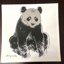 Andy Warhol Lithografie off set 50x50 cm gecertificeerd