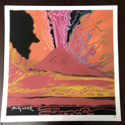 Andy Warhol Lithografie off set 50x50 cm gecertificeerd