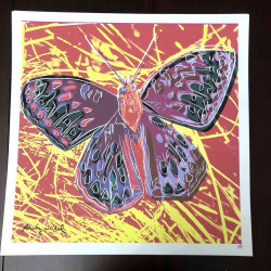 Andy Warhol 50x50 cm-ko litografia-sorta ziurtatua