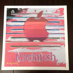 Andy Warhol Lithografie off set 50x50 cm gecertificeerd