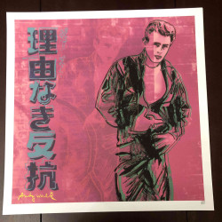 Andy Warhol 50x50 cm-ko litografia-sorta ziurtatua