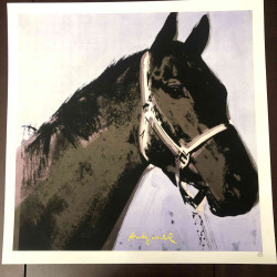Andy Warhol 50x50 cm-ko litografia-sorta ziurtatua