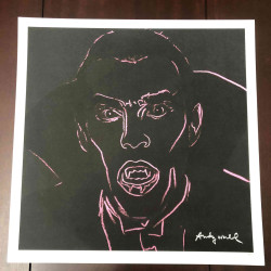 Andy Warhol Lithografie off set 50x50 cm gecertificeerd