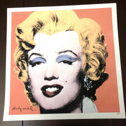 Litografia Andy Warhol off set 50x50 cm certificada