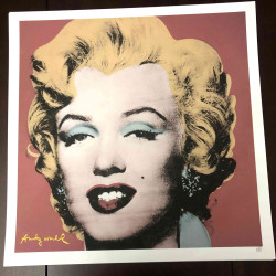Andy Warhol Lithograph off set 50x50 cm certified