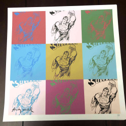 Andy Warhol Lithografie off set 50x50 cm gecertificeerd