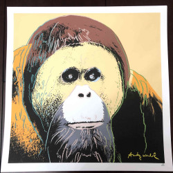 Set de litografía de Andy Warhol 50x50 cm certificado