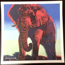 Litografia Andy Warhol off set 50x50 cm certificada