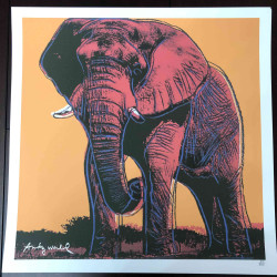 Andy Warhol Lithograph off set 50x50 cm certified