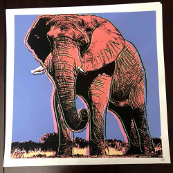 Andy Warhol Litografia offsetowa z certyfikatem 50x50 cm