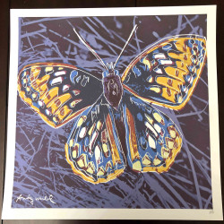 Litografická súprava Andyho Warhola certifikovaná 50x50 cm