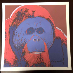 Andy Warhol 50x50 cm-ko litografia-sorta ziurtatua