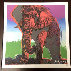 Andy Warhol 50x50 cm-ko litografia-sorta ziurtatua
