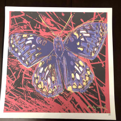 Andy Warhol 50x50 cm-ko litografia-sorta ziurtatua