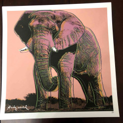 Litografía de Andy Warhol off set 50x50 cm certificada