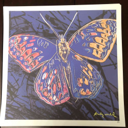 Andy Warhol Lithografie off set 50x50 cm gecertificeerd
