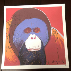 Litografía de Andy Warhol off set 50x50 cm certificada