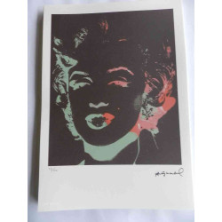 Andy Warhol Lithografie off-set editie 125 cm 35x50