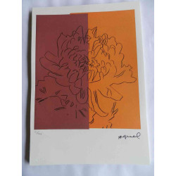 Andy Warhol Lithografie off-set editie 125 cm 35x50