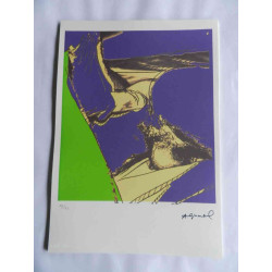 Andy Warhol Lithografie off-set editie 125 cm 35x50