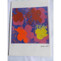 Andy Warhol Lithografie off-set editie 125 cm 35x50