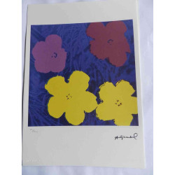 Andy Warhol Lithografie off-set editie 125 cm 35x50