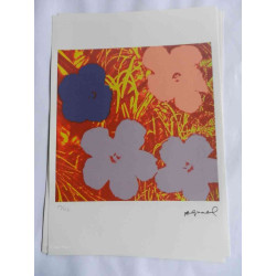 Andy Warhol Lithografie off-set editie 125 cm 35x50