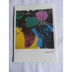 Andy Warhol Litografia off set edizione 125 cm 35x50