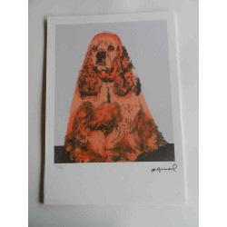 Andy Warhol Lithographie édition hors set 125 cm 35x50