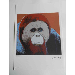 Andy Warhol Lithographie édition hors set 125 cm 35x50