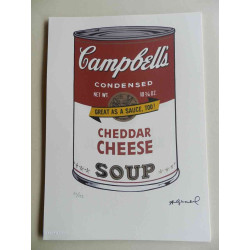 Andy Warhol Lithografie off-set editie 125 cm 35x50