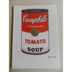 Andy Warhol Lithographie édition hors set 125 cm 35x50