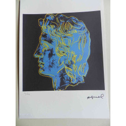 Litografia Andyho Warhola offsetová edícia 125 cm 35x50