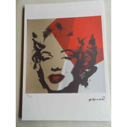 Andy Warhol Litografía offset edición 125 cm 35x50