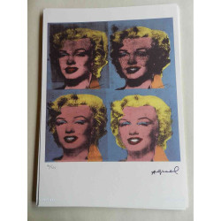 Andy Warhol Lithographie édition hors set 125 cm 35x50