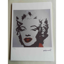 Andy Warhol Litografia off set edizioa 125 cm 35x50