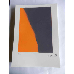 Andy Warhol Litografia off set editie 125 cm 35x50