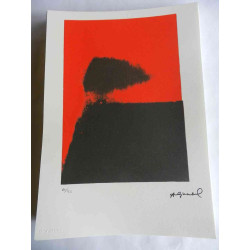 Andy Warhol Litografía offset edición 125 cm 35x50