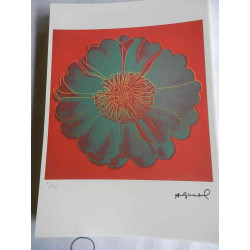Andy Warhol Off set lithograph edition 125 cm 35x50