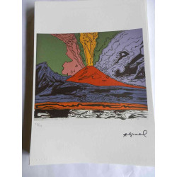 Andy Warhol Litografía offset edición 125 cm 35x50