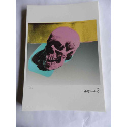 Andy Warhol Litografia off set editie 125 cm 35x50