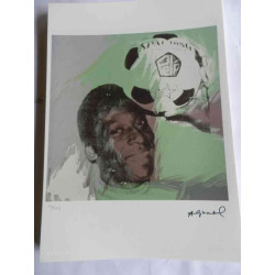 Andy Warhol Lithographie édition hors set 125 cm 35x50